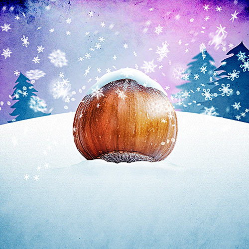 Dance under the frozen Hazelnut